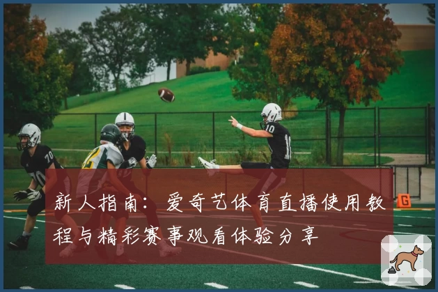 新人指南：爱奇艺体育直播使用教程与精彩赛事观看体验分享