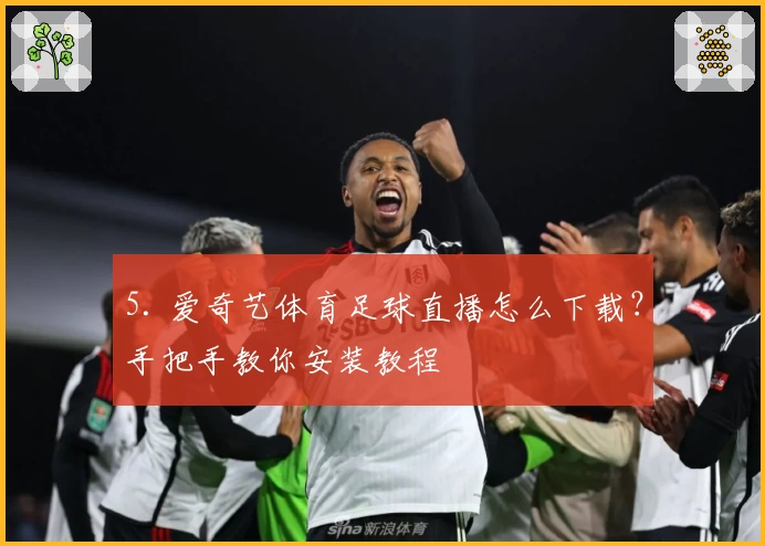 5. 爱奇艺体育足球直播怎么下载？手把手教你安装教程